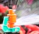 Picture of Micro spray kit 50-ft 