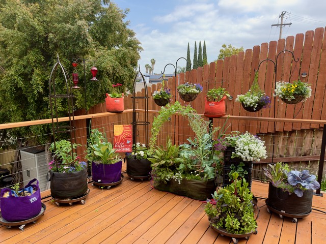 Patio & Potted Plant Drip Kit w/30 ADJ Drip/Spray Stakes