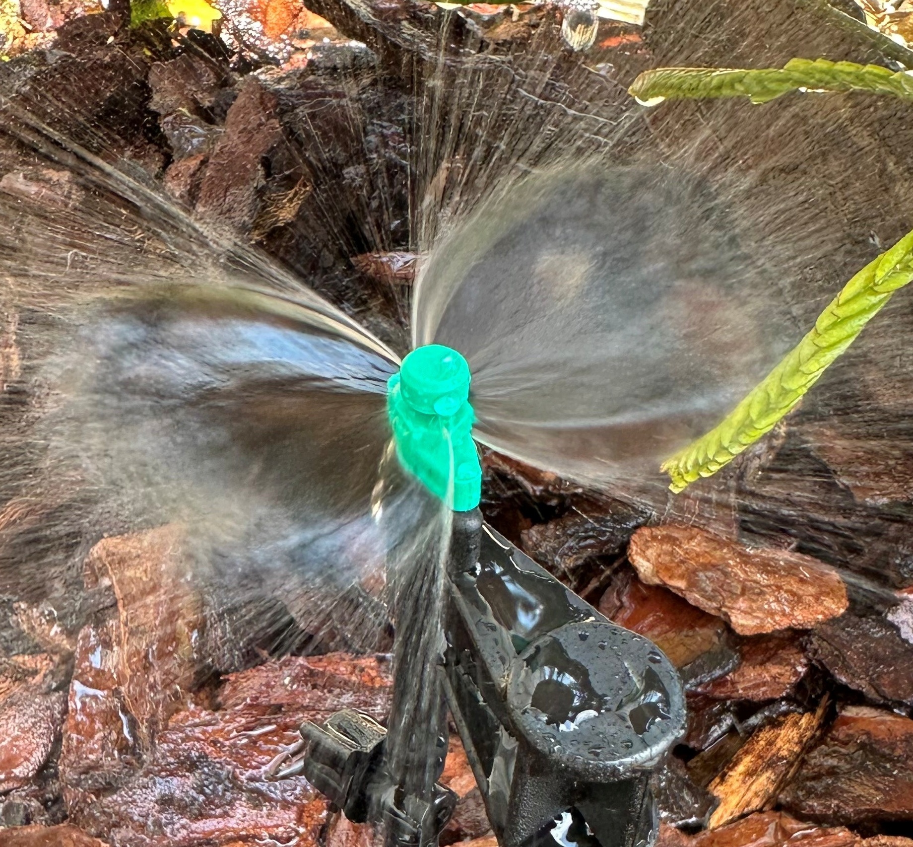 Picture of  340° Full Circle Spray-(Qty 12)