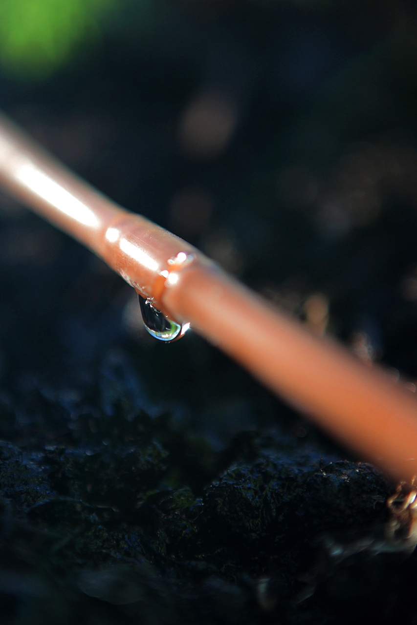 Picture of 100-FT 1/4" In-Line Drip-6 In Spacing