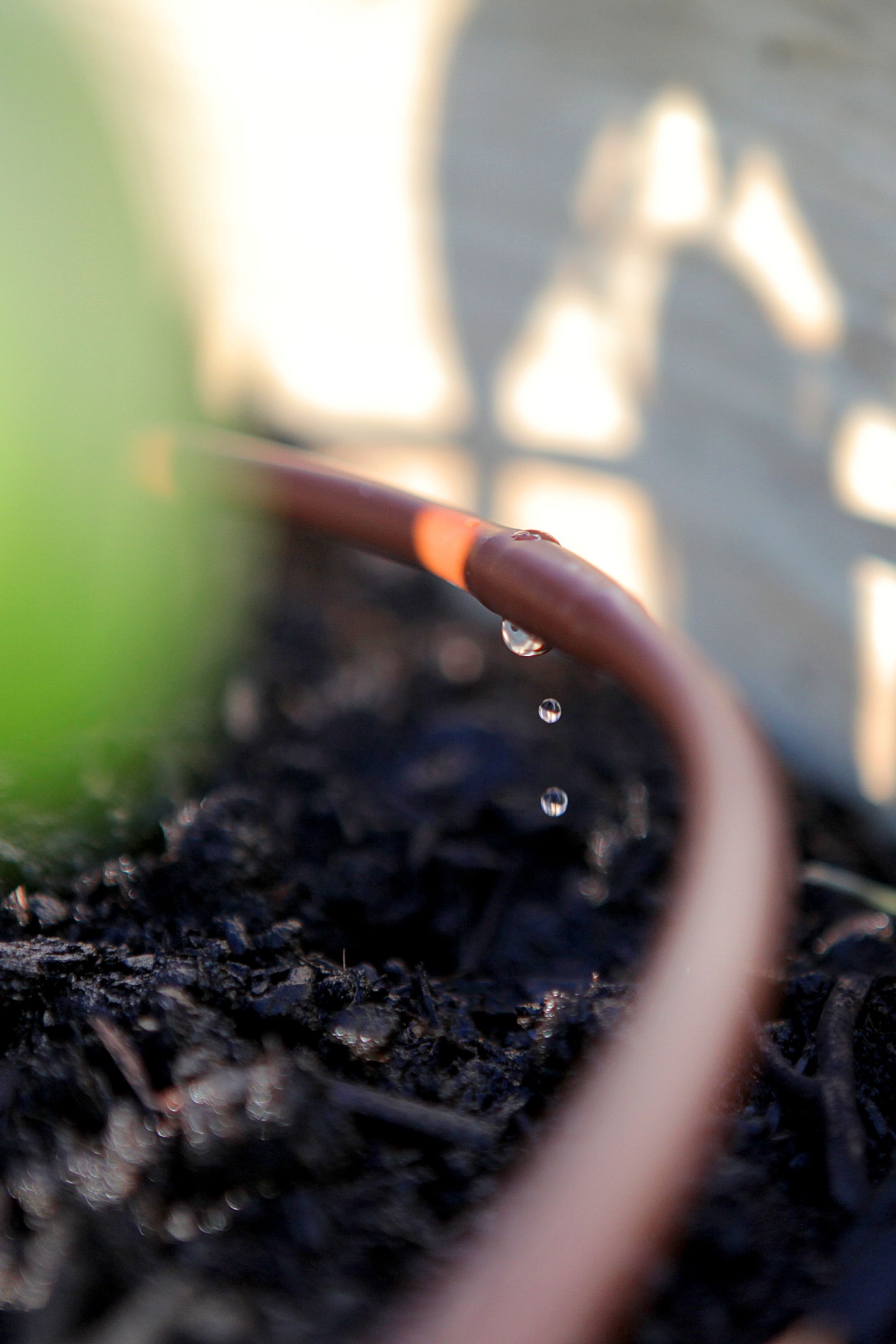 Picture of 100-FT 1/4" In-Line Drip-6 In Spacing